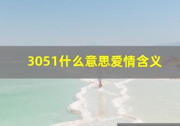 3051什么意思爱情含义