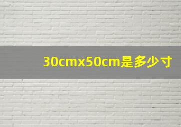 30cmx50cm是多少寸