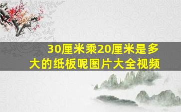 30厘米乘20厘米是多大的纸板呢图片大全视频