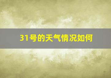 31号的天气情况如何