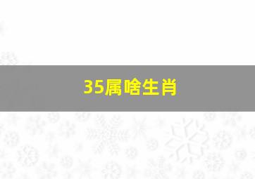 35属啥生肖