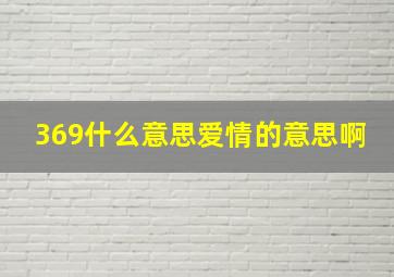 369什么意思爱情的意思啊