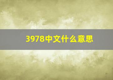 3978中文什么意思