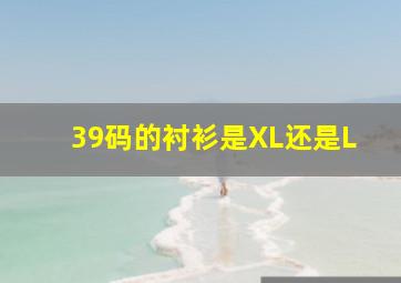 39码的衬衫是XL还是L