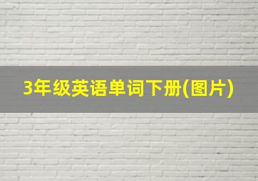 3年级英语单词下册(图片)