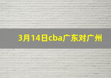 3月14日cba广东对广州