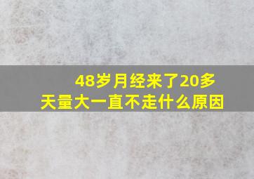 48岁月经来了20多天量大一直不走什么原因