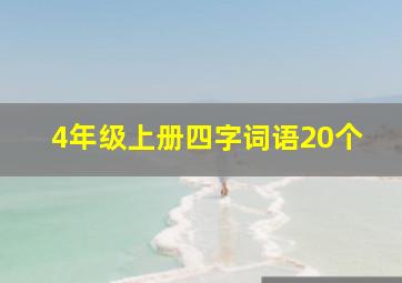 4年级上册四字词语20个