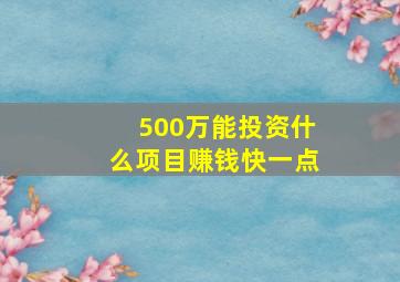 500万能投资什么项目赚钱快一点