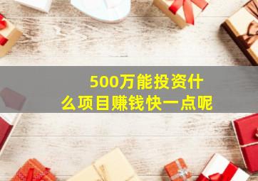 500万能投资什么项目赚钱快一点呢