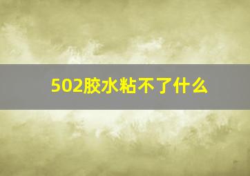 502胶水粘不了什么