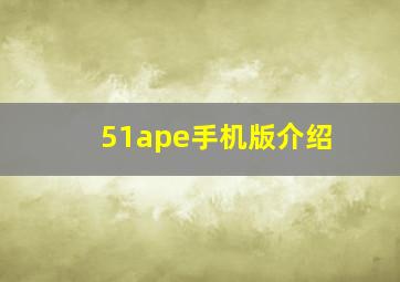 51ape手机版介绍