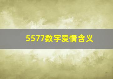 5577数字爱情含义