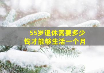 55岁退休需要多少钱才能够生活一个月