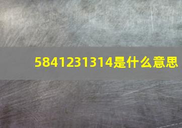 5841231314是什么意思