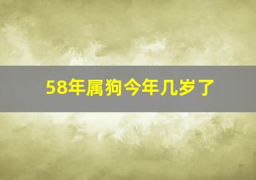 58年属狗今年几岁了