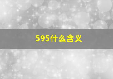 595什么含义