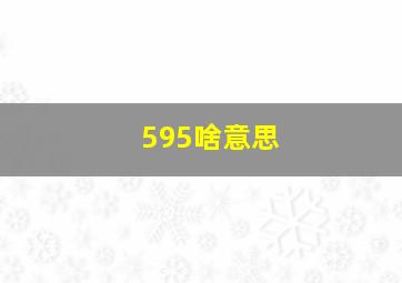 595啥意思