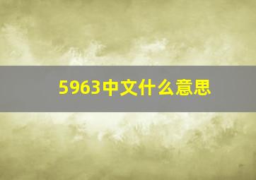 5963中文什么意思