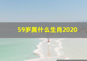 59岁属什么生肖2020