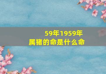 59年1959年属猪的命是什么命