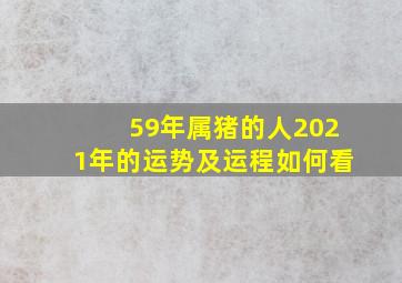 59年属猪的人2021年的运势及运程如何看