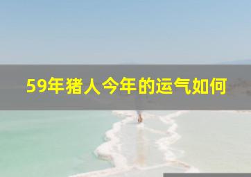 59年猪人今年的运气如何