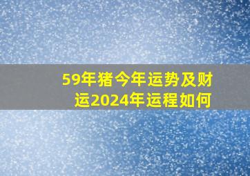 59年猪今年运势及财运2024年运程如何