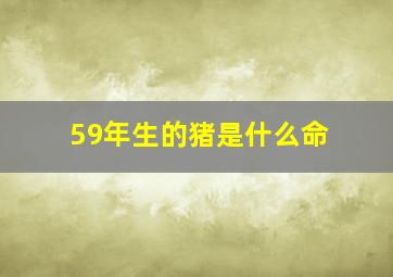 59年生的猪是什么命