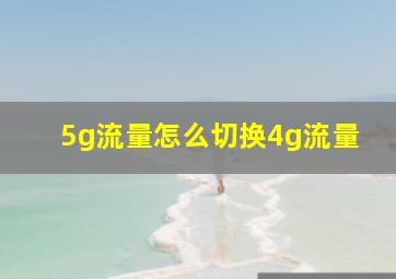 5g流量怎么切换4g流量