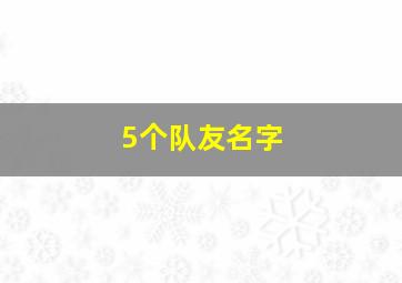 5个队友名字