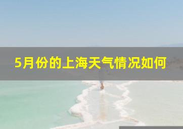 5月份的上海天气情况如何