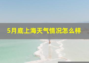 5月底上海天气情况怎么样