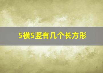 5横5竖有几个长方形