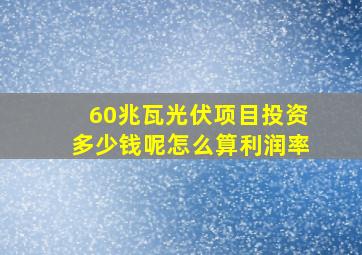 60兆瓦光伏项目投资多少钱呢怎么算利润率