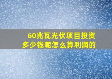 60兆瓦光伏项目投资多少钱呢怎么算利润的