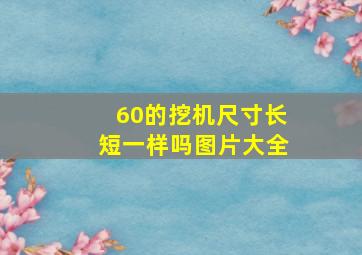 60的挖机尺寸长短一样吗图片大全