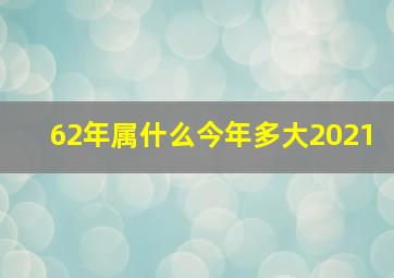 62年属什么今年多大2021