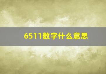 6511数字什么意思