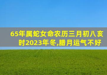 65年属蛇女命农历三月初八亥时2023年冬,腊月运气不好