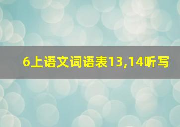 6上语文词语表13,14听写