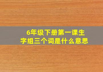 6年级下册第一课生字组三个词是什么意思