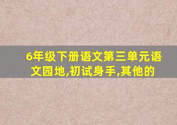 6年级下册语文第三单元语文园地,初试身手,其他的