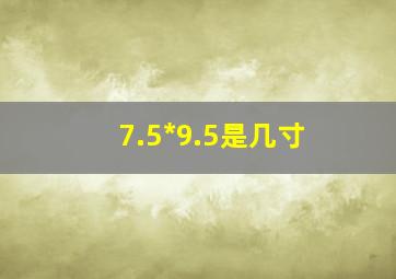 7.5*9.5是几寸