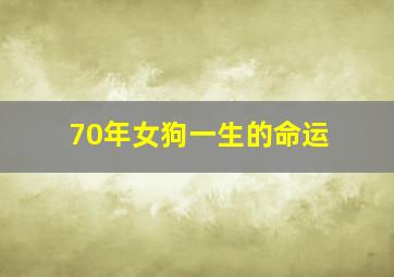 70年女狗一生的命运