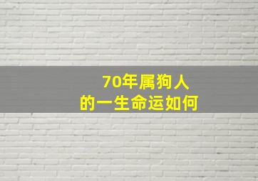 70年属狗人的一生命运如何