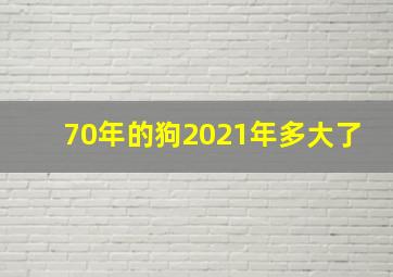 70年的狗2021年多大了