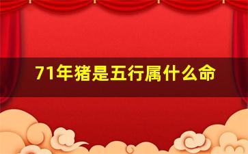 71年猪是五行属什么命