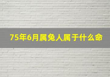 75年6月属兔人属于什么命