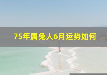 75年属兔人6月运势如何